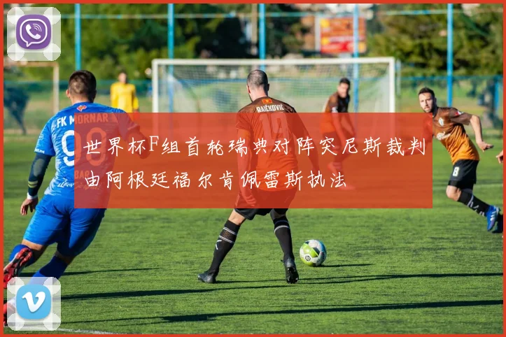世界杯F组首轮瑞典对阵突尼斯裁判由阿根廷福尔肯佩雷斯执法