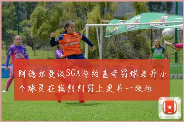 阿德尔曼谈SGA与约基奇罚球差异小个球员在裁判判罚上更具一致性