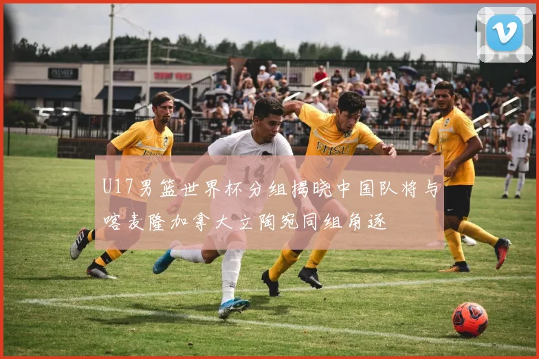 U17男篮世界杯分组揭晓中国队将与喀麦隆加拿大立陶宛同组角逐