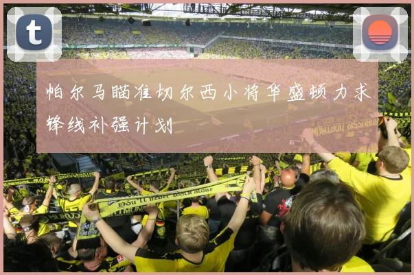 帕尔马瞄准切尔西小将华盛顿力求锋线补强计划